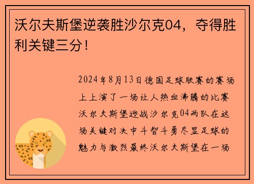 沃尔夫斯堡逆袭胜沙尔克04，夺得胜利关键三分！