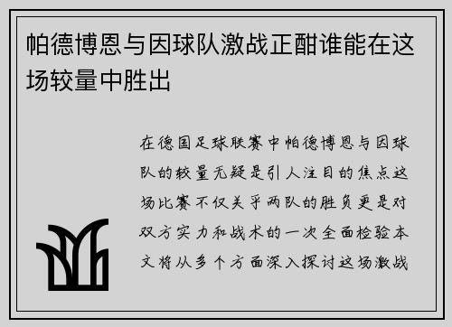 帕德博恩与因球队激战正酣谁能在这场较量中胜出