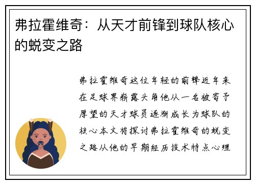 弗拉霍维奇：从天才前锋到球队核心的蜕变之路