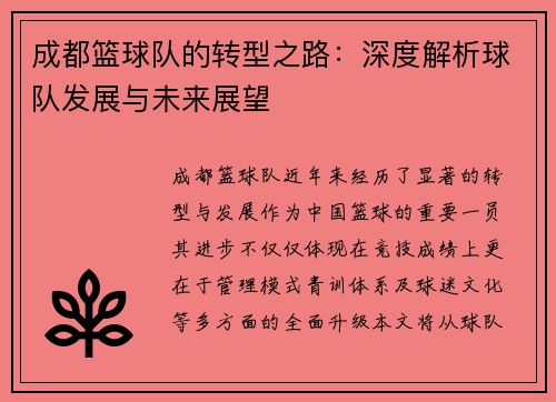 成都篮球队的转型之路：深度解析球队发展与未来展望